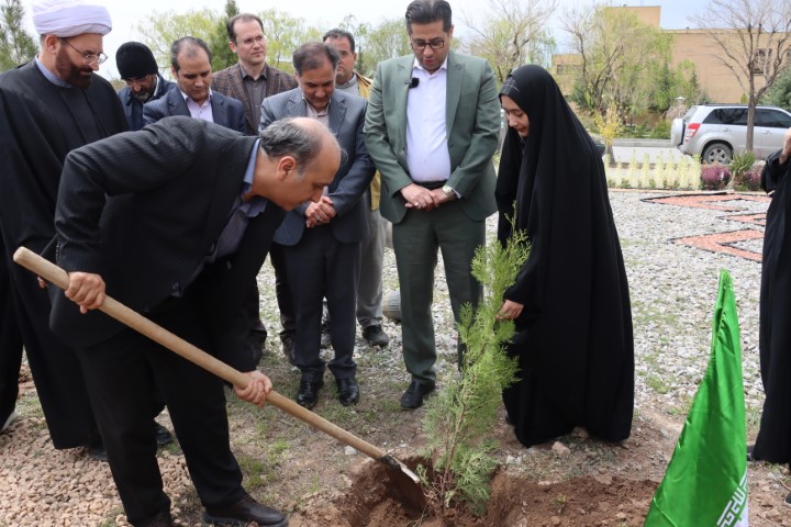 دانشگاه مراغه