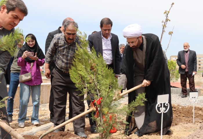 دانشگاه مراغه